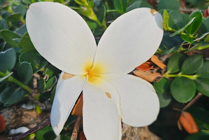 Around the Island Tour From San Juan - In-Depth Look at the Tour Experience