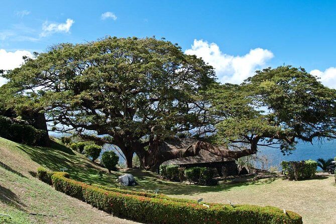 Around the Island - Why This Tour Works for Different Travelers