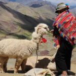 Arrive before the crowd to the Mountain in private service - Detailed Breakdown of the Itinerary