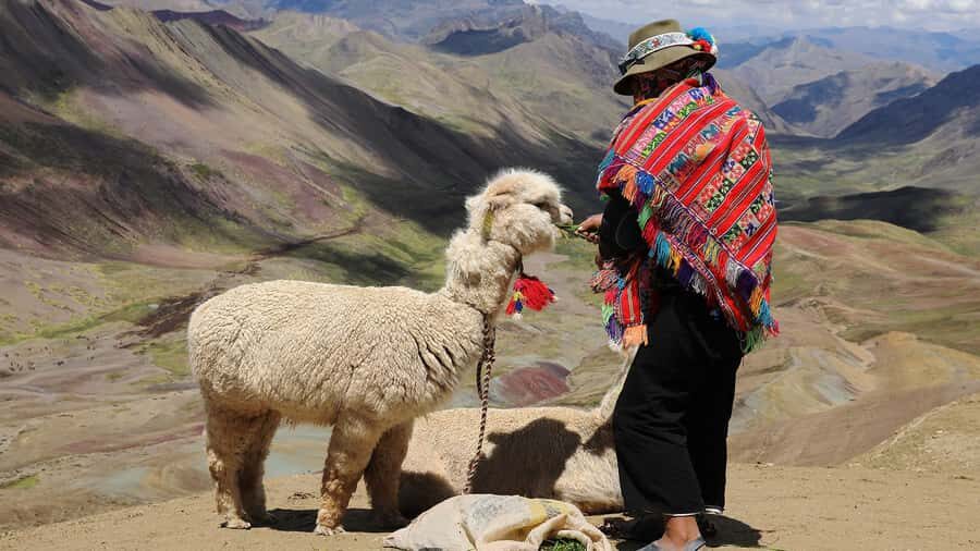 Arrive before the crowd to the Mountain in private service - Detailed Breakdown of the Itinerary