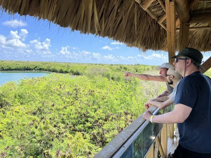 Art and Forest Way Combo Full Day Tour - What Makes This Tour Stand Out