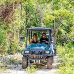 Art And Forest Way Half Day Tour - Final Thoughts