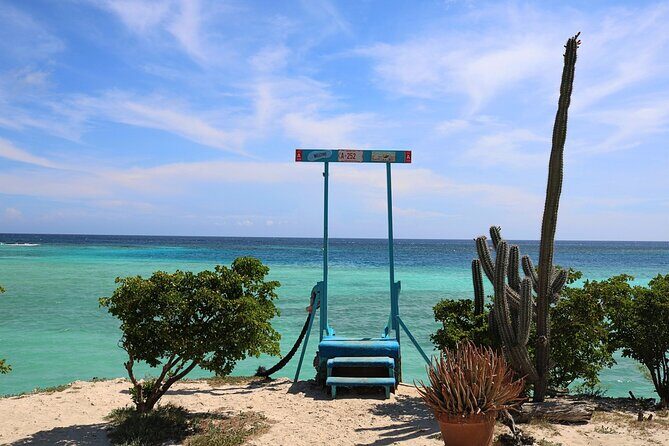 Art, Beach and Culture Island Tour with Kini Kini - Who Should Consider This Tour