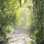 Artisan Puertorrican Winery and Distillery Tour - Final Thoughts: Who Is This Tour For?