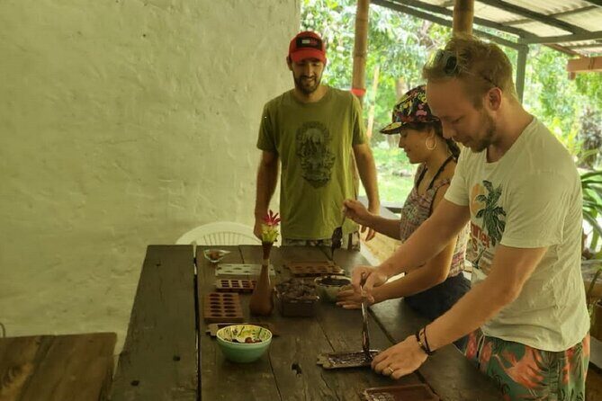 Artisanal chocolate: from the garden to the table - Exploring the Cacao Forest: From Tree to Table
