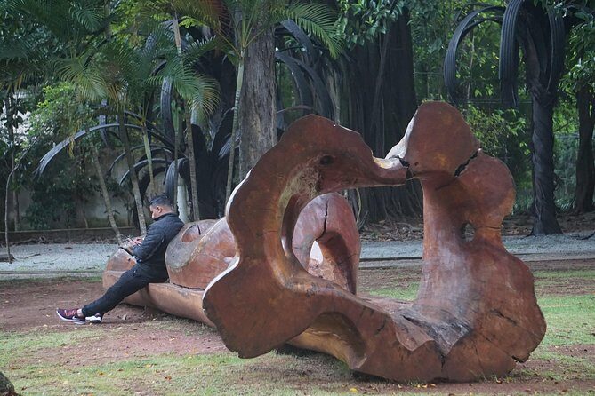 Arts & Design Private Tour in Sao Paulo - What Makes This Tour Stand Out?