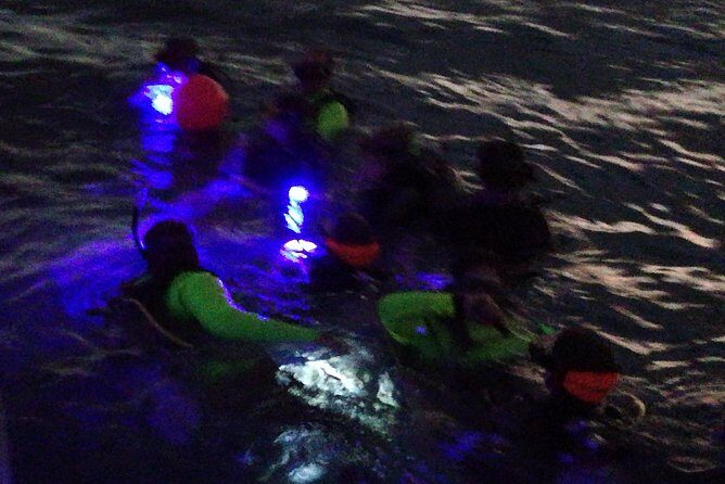 Aruba 1-Tank guided UV Night Dive for certified divers with rental equipment - Practical Questions & Answers