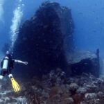 Aruba 2-Tank Dive Excursion for Certified Divers - The Sum Up: Is It Worth It?