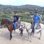 Aruba 2,5 hrs Horseback Riding For Advanced Riders - Analyzing the Value