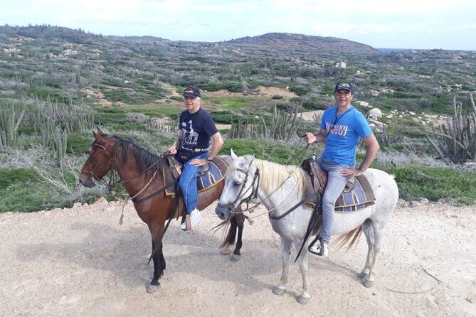 Aruba 2,5 hrs Horseback Riding For Advanced Riders - Analyzing the Value