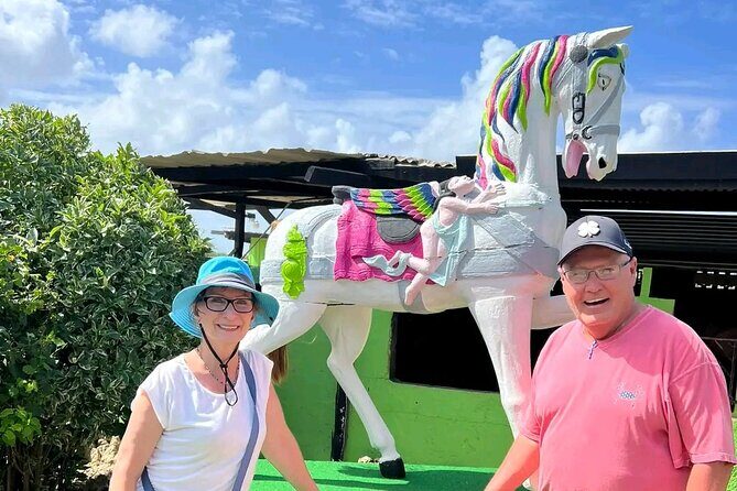 Aruba Beach Ecological Horseback Ride - What the Tour Includes and Why It Adds Value