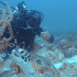 Aruba Certified Scuba Diving - The Sum Up