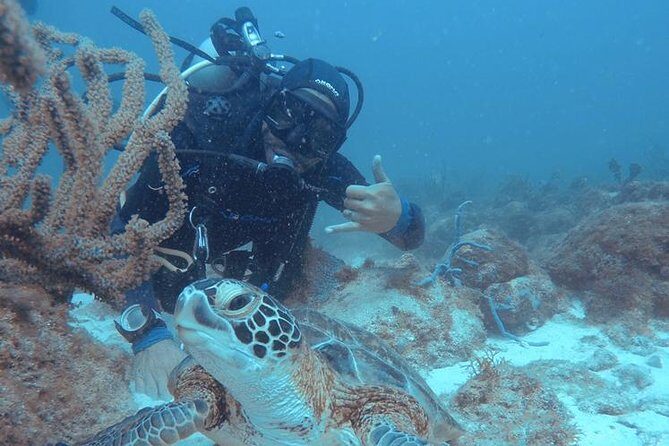 Aruba Certified Scuba Diving - The Sum Up