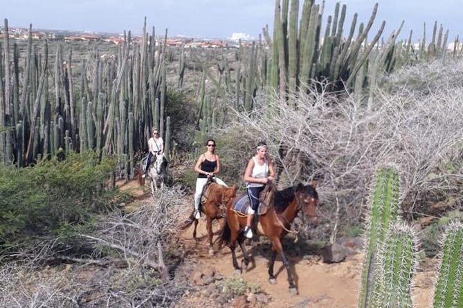 Aruba Countryside: Horseback Adventure to Urirama Cove - What to Expect and Tips for the Ride