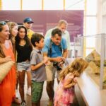 Aruba Downtown Historic and Cultural Walking Tour - Final Thoughts