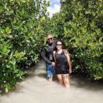 Aruba Glass Bottom Kayak Tour through the Mangrove Forest - The Guided Kayak Journey