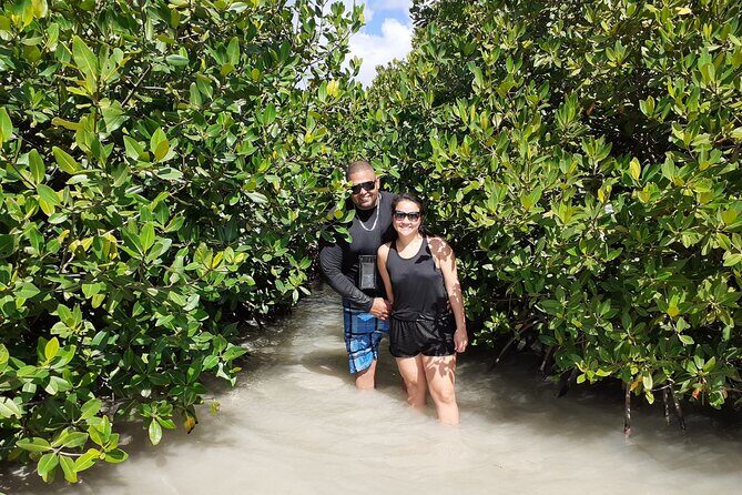 Aruba Glass Bottom Kayak Tour through the Mangrove Forest - The Guided Kayak Journey