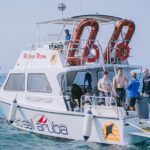 Aruba Guided Night Dive Adventure: Shallow Reefs or Shipwrecks - The Sum Up