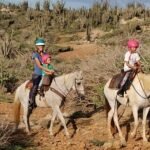 Aruba Horseback Riding Tour to Hidden Lagoon - A Deep Dive into the Aruba Horseback Riding Experience
