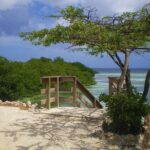 Aruba Mangel Halto and Baby Beach Snorkeling Guided Tour - A Detailed Look at the Itinerary