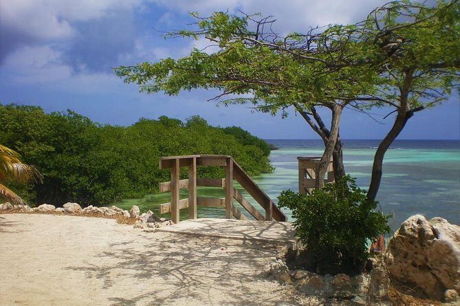 Aruba Mangel Halto and Baby Beach Snorkeling Guided Tour - A Detailed Look at the Itinerary