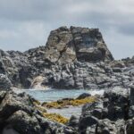 Aruba National Park Tour with Natural Pool & Baby Beach Snorkel - What the Tour Includes