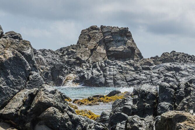 Aruba National Park Tour with Natural Pool & Baby Beach Snorkel - What the Tour Includes