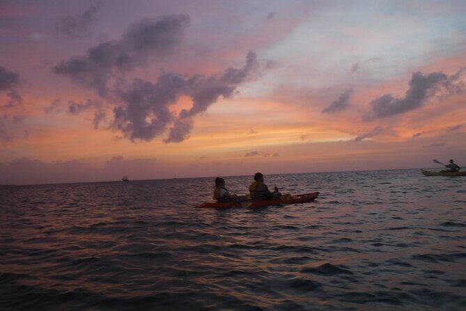 Aruba Night Glass Kayak Tour - An In-Depth Look at Aruba Night Glass Kayak Tour