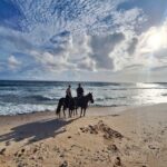 Aruba Private, 2 Hour Horseback Riding Tour For Advanced Riders - A Thorough Look at the Aruba Private Horseback Tour