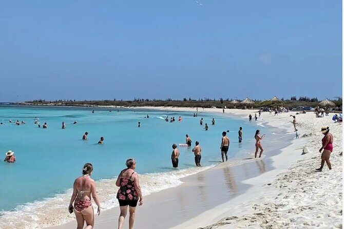 Aruba Private Tour with SeaFood/Caribbean Food Included - Final Thoughts: Is This the Right Tour for You?