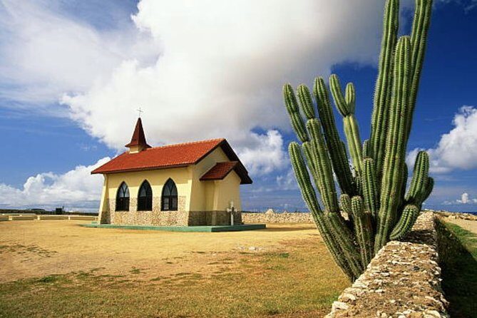 Aruba Shore Excursion: The Highlights and Delights Tour - Who Will Love This Tour?