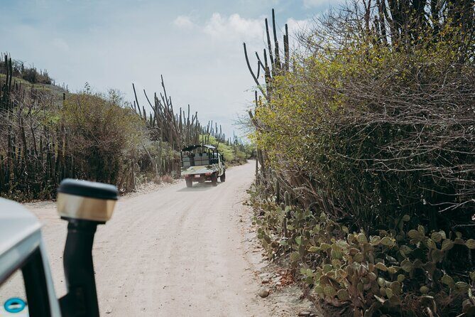 Aruba Signature Jeep Tour: Natural Pool and Baby Beach - Who Should Consider This Tour?