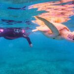 Aruba Turtle Spotting Snorkeling Adventure - Final Thoughts