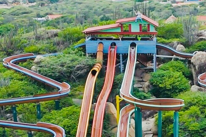 Aruba Waterpark Daypass - Who Should Consider This Experience?