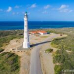 Aruba with Bus and Hop-on Hop-off Tour - Who Should Consider This Tour?