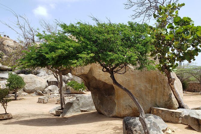 Arubabound Transfers - Diving Deeper into the Experience