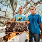 Aruba´s Bee Haven Private Adventure - An In-Depth Look at Aruba’s Bee Haven Private Adventure