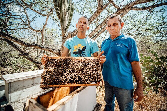 Aruba´s Bee Haven Private Adventure - An In-Depth Look at Aruba’s Bee Haven Private Adventure