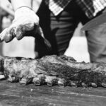 Asado Masterclass - Who Will Love This Experience?