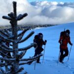 Ascent of the Llaima Volcano - What’s Included and What to Bring