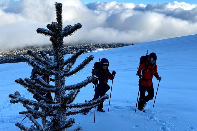 Ascent of the Llaima Volcano - What’s Included and What to Bring