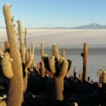 Atacama: 3 Day Tour to the Uyuni Salt Flat |Private Service| - The Full Experience: A Deep Dive into the 3-Day Uyuni Salt Flat Tour