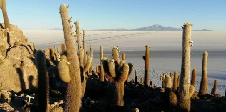 Atacama: 3 Day Tour to the Uyuni Salt Flat |Private Service| - The Full Experience: A Deep Dive into the 3-Day Uyuni Salt Flat Tour