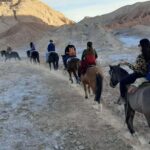 Atacama Desert: Horseback Adventure with Scenic Views - Practical Details and Value