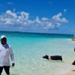 Athol Island Swimming Pigs Half-Day Boat Tour with Lunch - Green Cay: Snorkeling with Sea Turtles