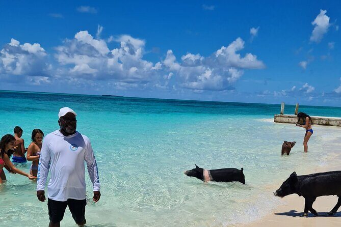 Athol Island Swimming Pigs Half-Day Boat Tour with Lunch - Green Cay: Snorkeling with Sea Turtles