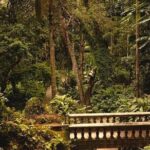 Atlantic Forest Tour: Christ the Redeemer and Tijuca Forest - Transportation and Practical Details