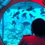 Atlantis Submarines Night Tour - Frequently Asked Questions