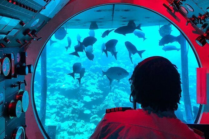 Atlantis Submarines Night Tour - Frequently Asked Questions