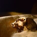 ATM Cave - Value and Practical Considerations